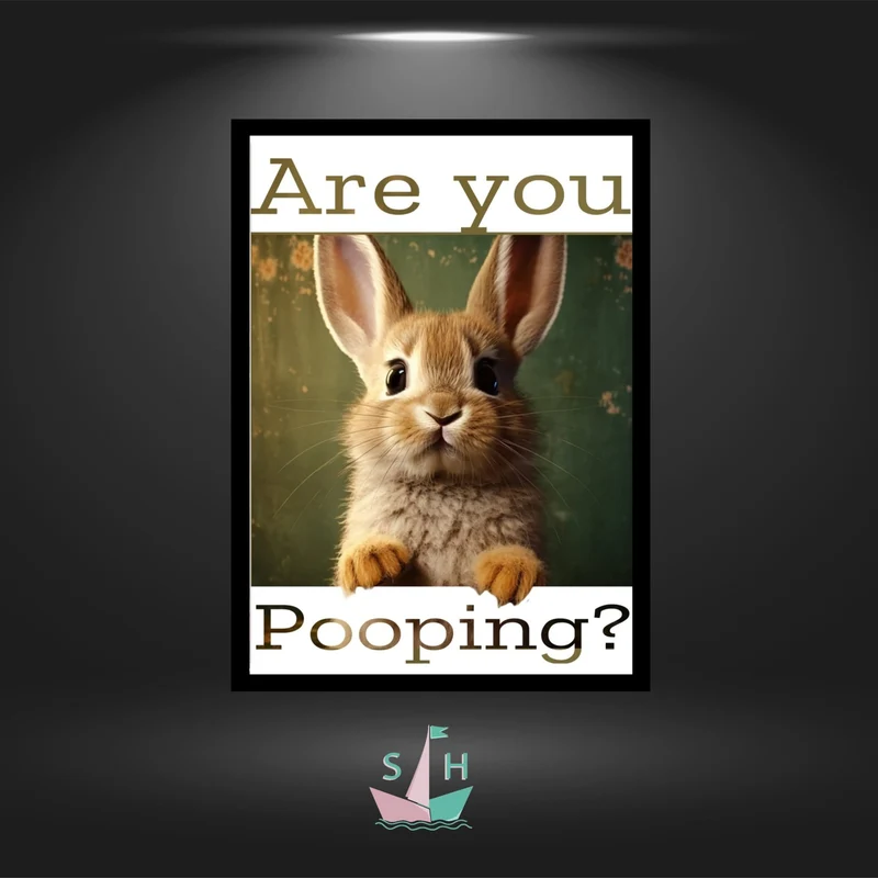 Are you pooping - Quadratisch