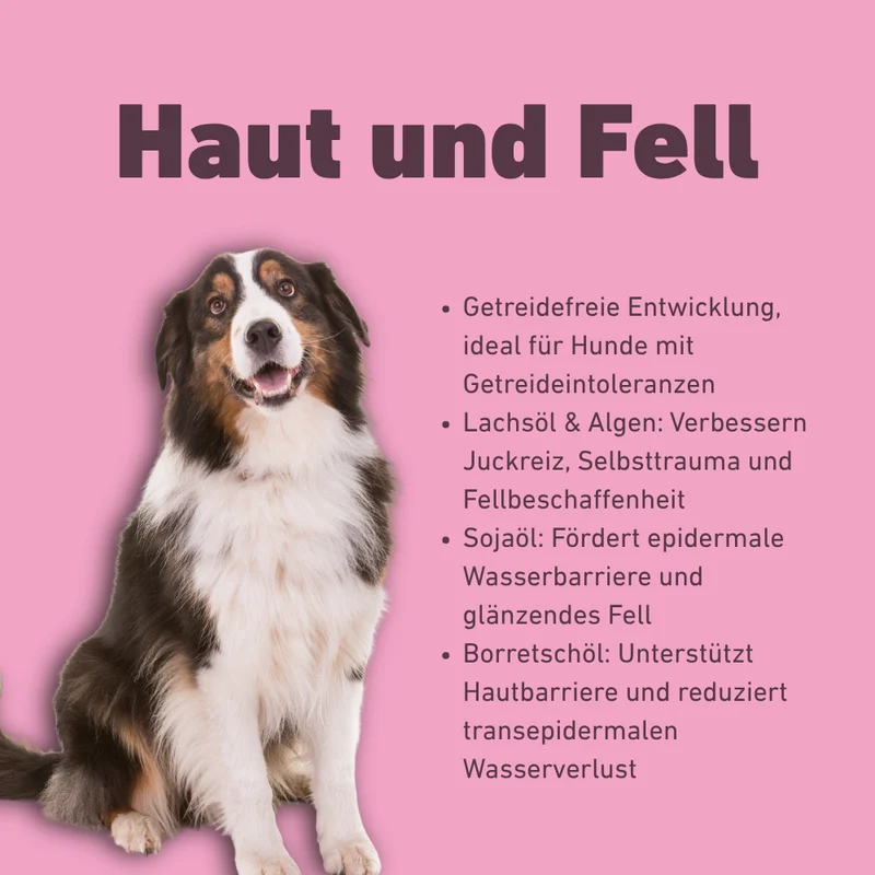 VetLine Trockenfutter mit Peptiden für Hunde - Haut und Fell