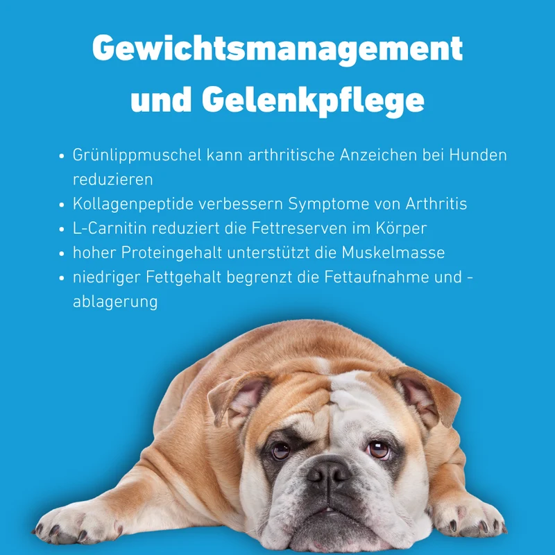 VetLine Trockenfutter mit Peptiden für Hunde - Gewichtskontrolle und Gelenkpflege