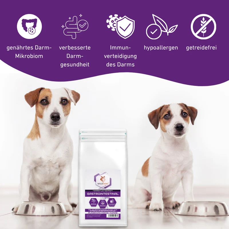 VetLine Trockenfutter mit Peptiden für Hunde - Gastrointestinal