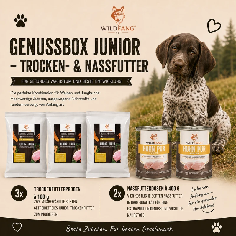 Genussbox Junior - Trocken- & Nassfutter