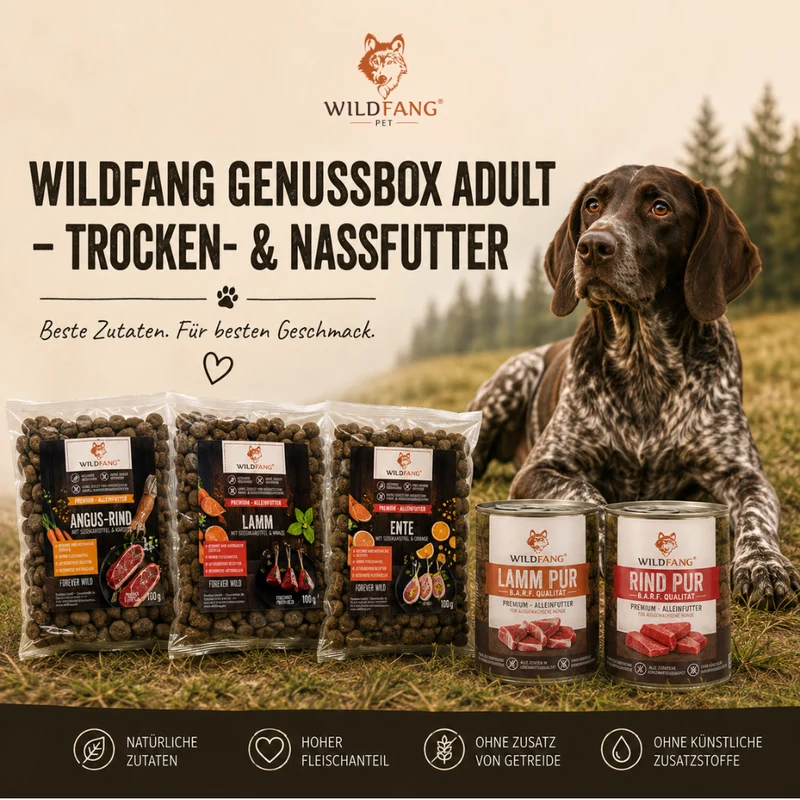 Genussbox Adult - Trocken- & Nassfutter