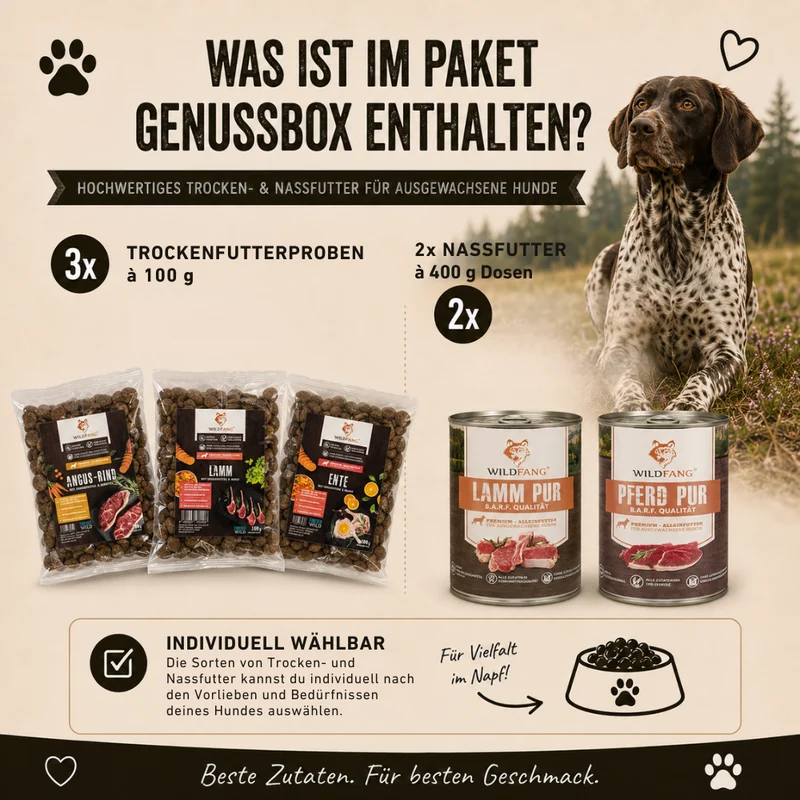 Genussbox Adult - Trocken- & Nassfutter