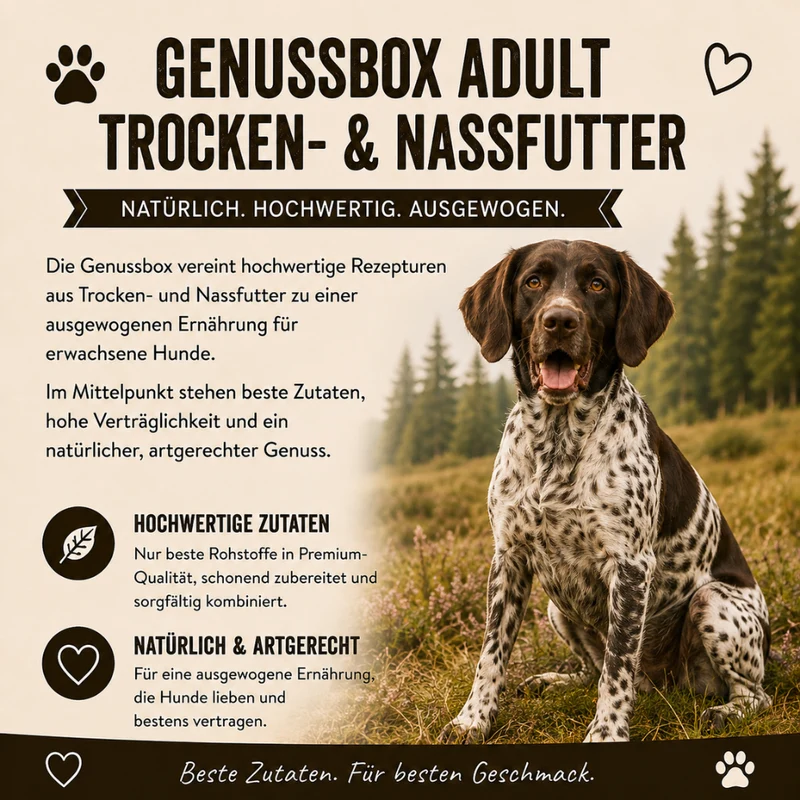 Genussbox Adult - Trocken- & Nassfutter