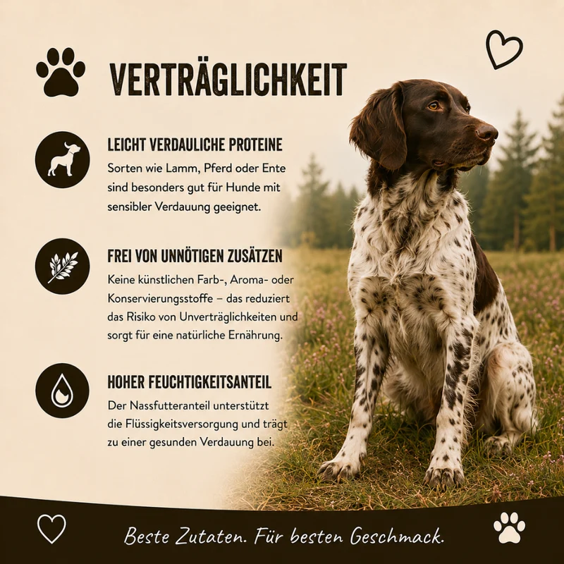 Genussbox Adult - Trocken- & Nassfutter