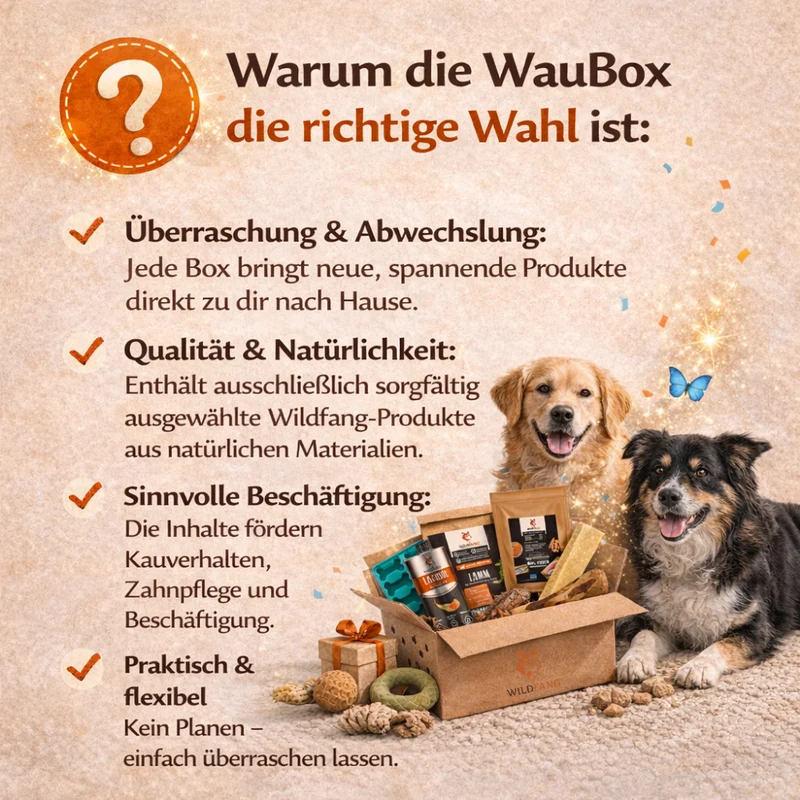 WauBox - das Überraschungspaket