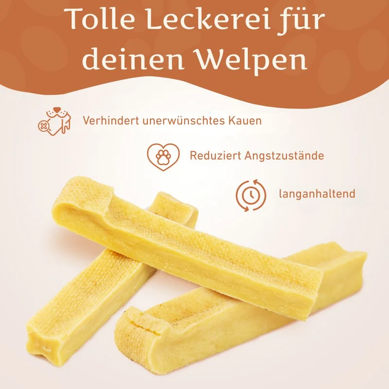 Kaukäse - Hartkäse Kaustab - 6er Set