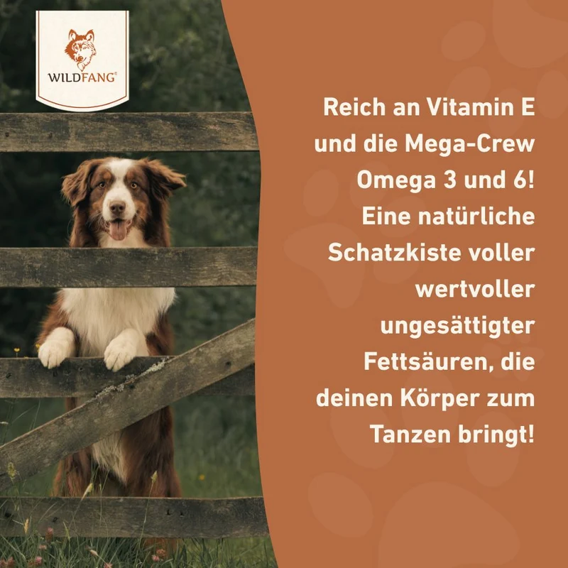 Lachsöl – 100 % natürliches BARF-Öl für Hunde