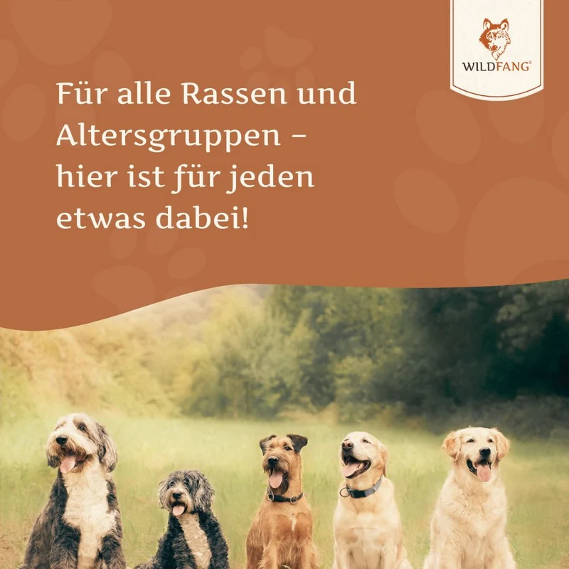 Lachsöl – 100 % natürliches BARF-Öl für Hunde