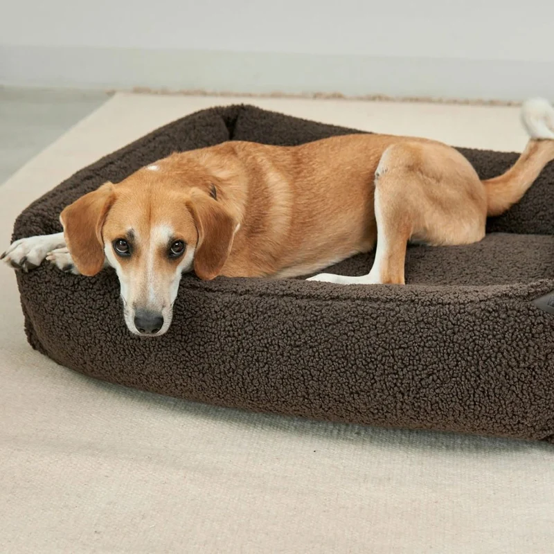 Senso Hundebett Schokolade