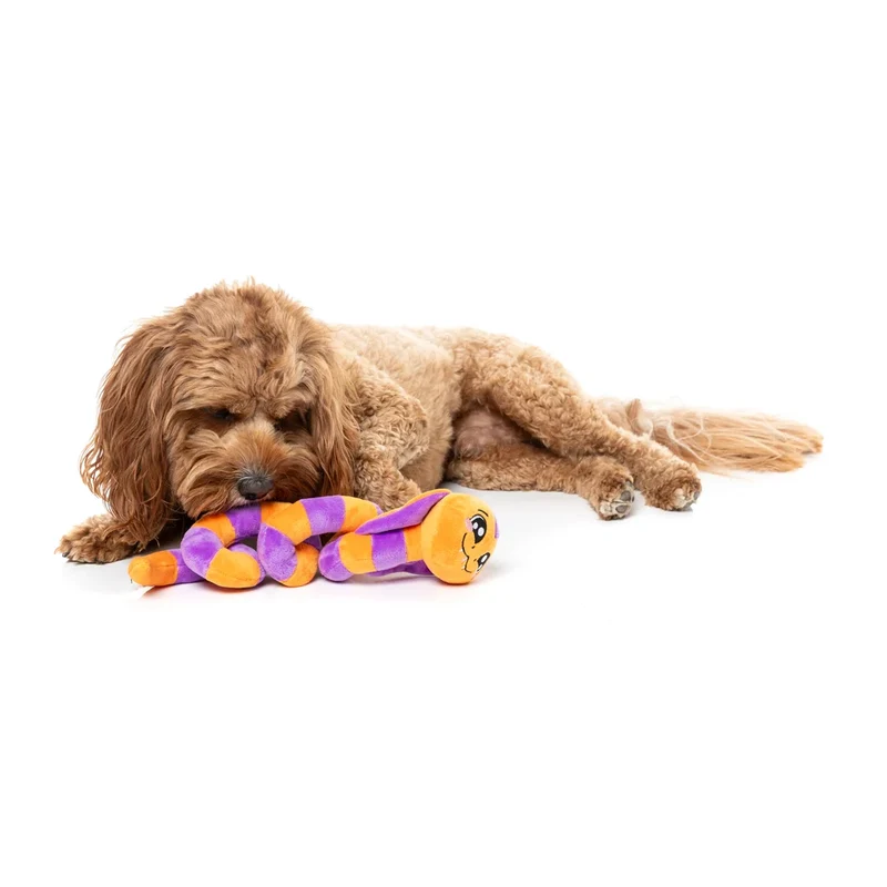 Hundespielzeug Halloween SSS-Teven the Snake