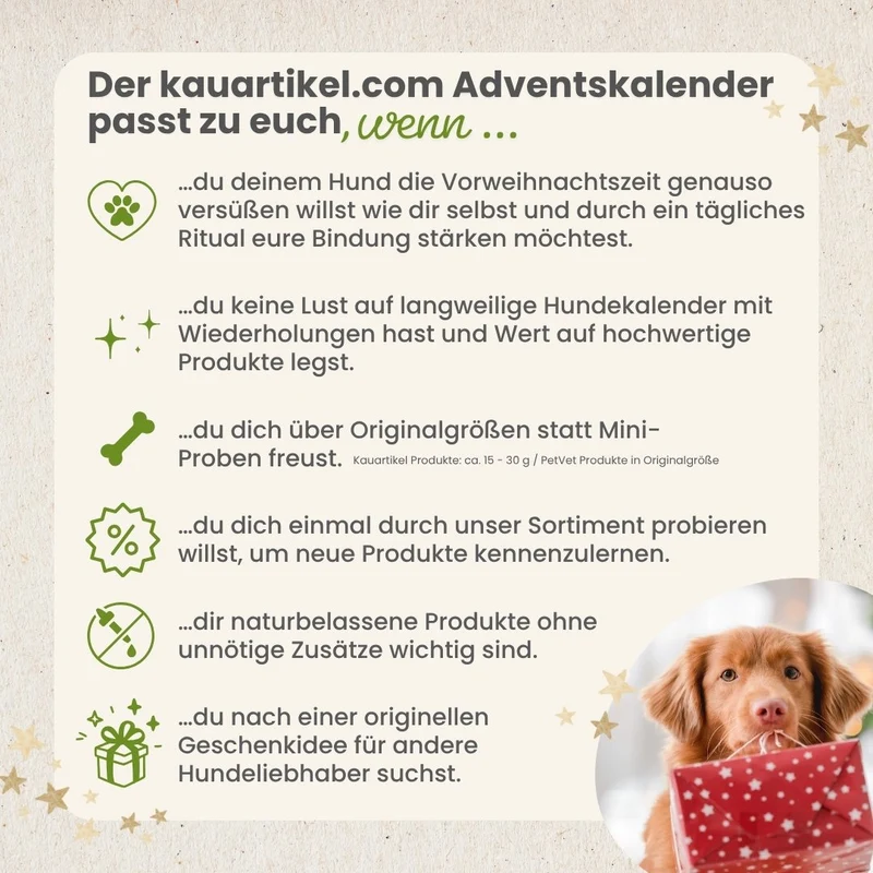 Adventskalender für Hunde