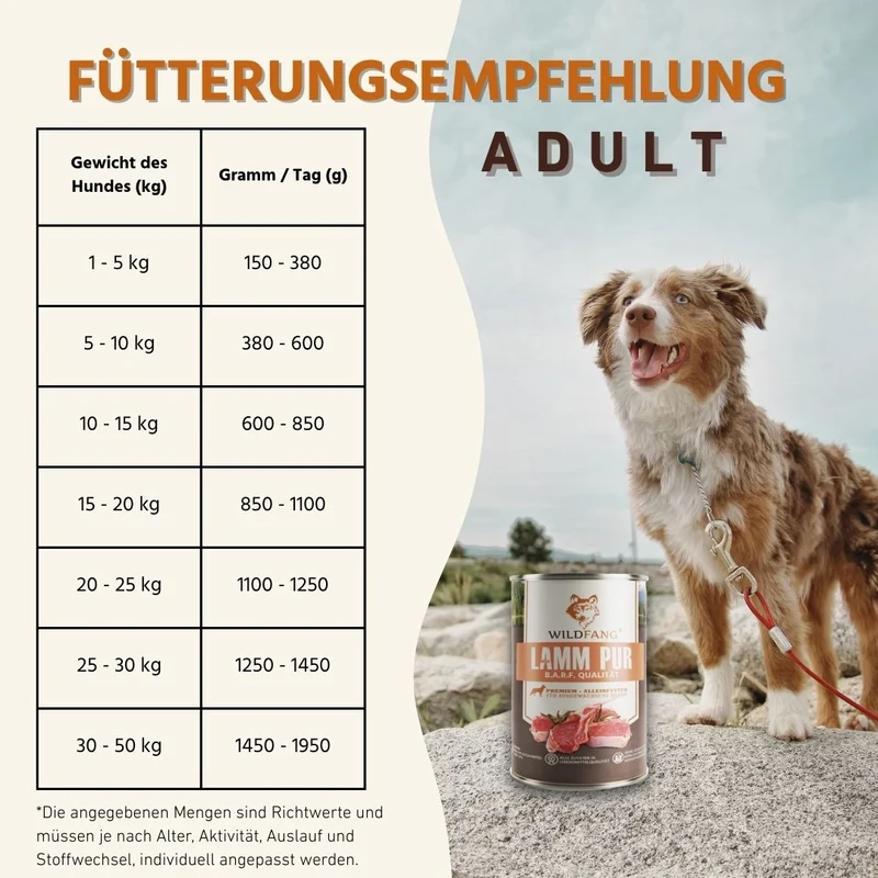 Nassfutter Mix 6 x 800g - BARF Qualität