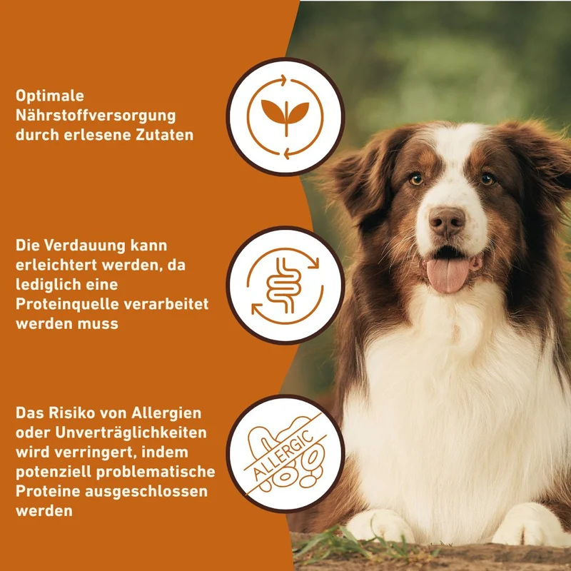 Nassfutter Pferd pur - BARF Qualität