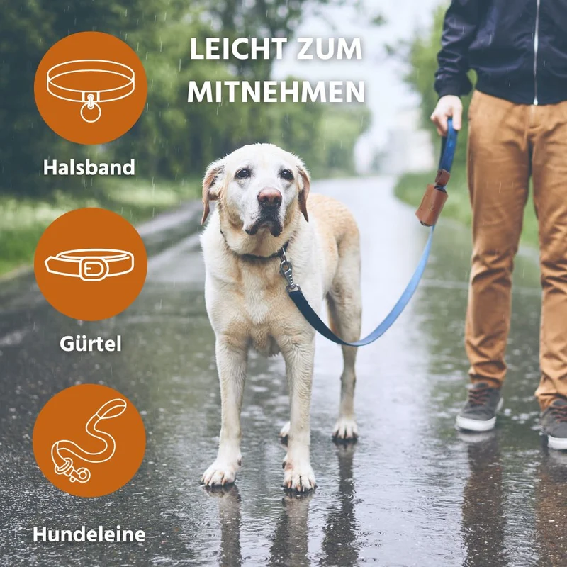 Kotbeutel Spender aus Leder