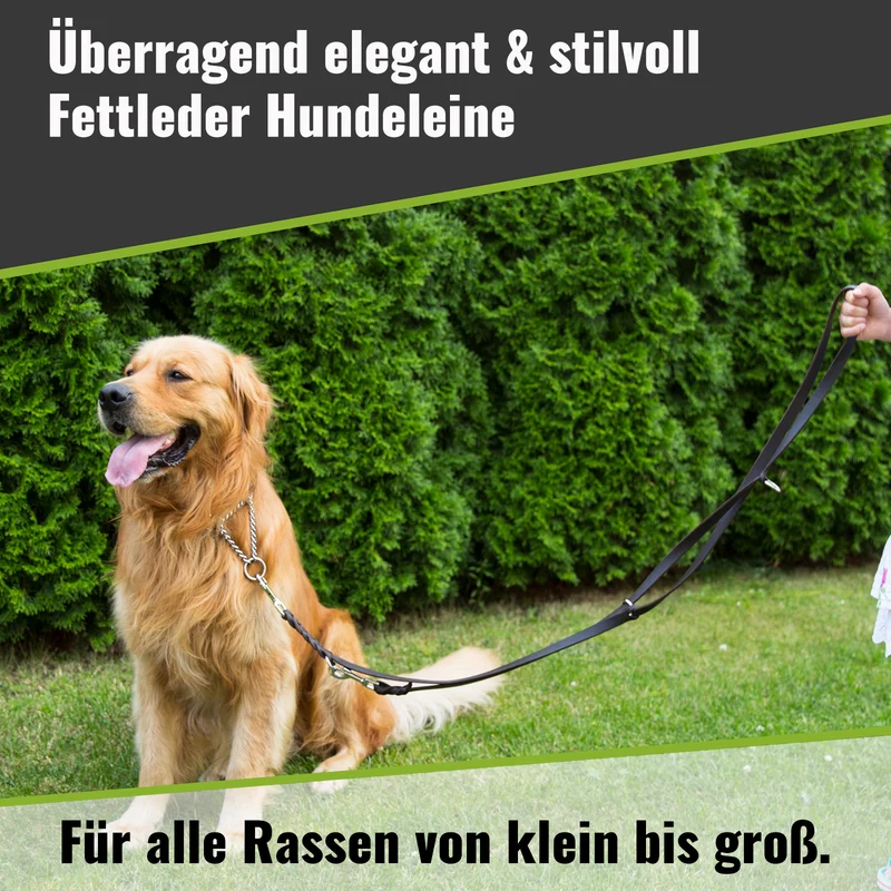 Fettlederleine 3-fach verstellbar – Führleine, Umhängeleine & Handschlaufe