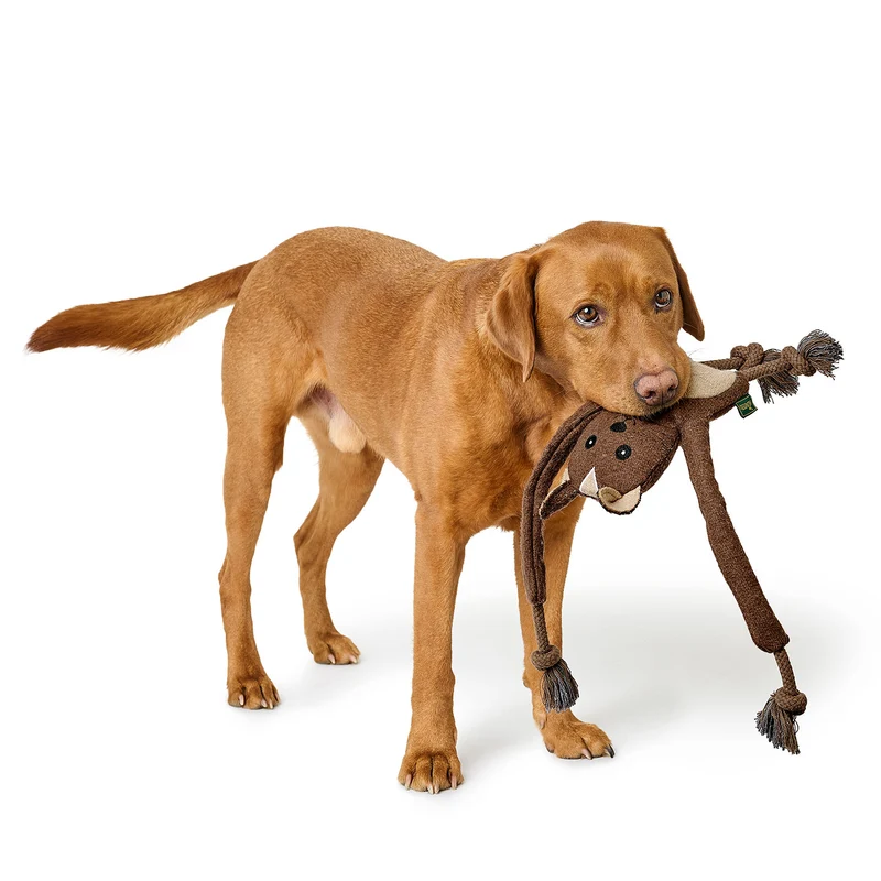 Hundespielzeug Eira