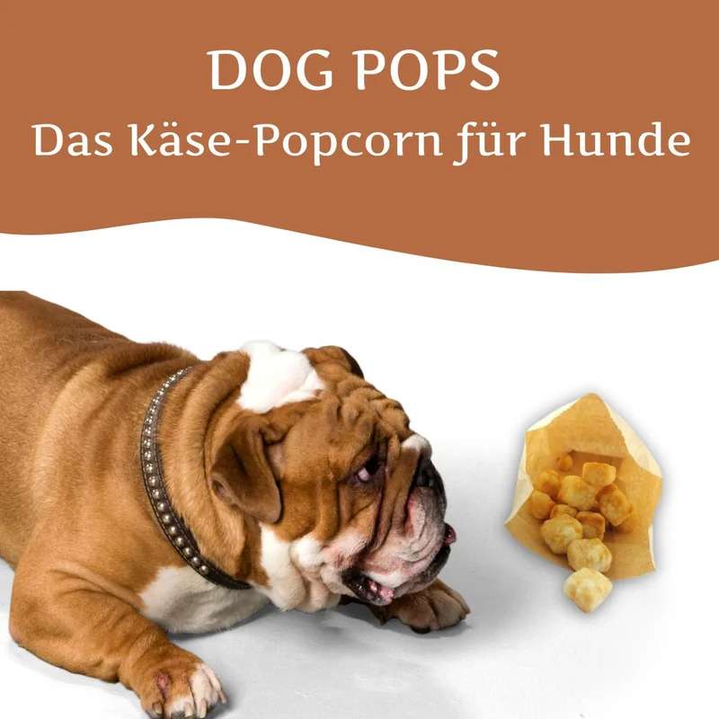 Dog Pops - Käse-Popcorn für Hunde
