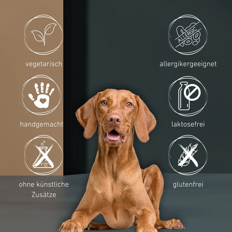 Dog Pops - Käse-Popcorn für Hunde