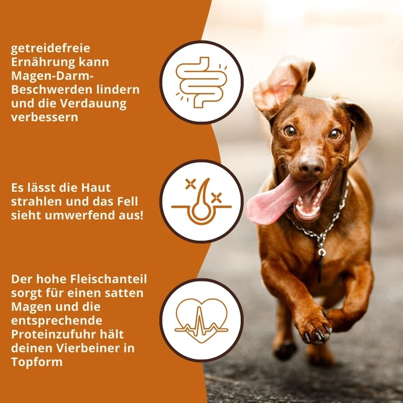 Adult Trockenfutter mit Huhn & Kräuter - getreidefrei