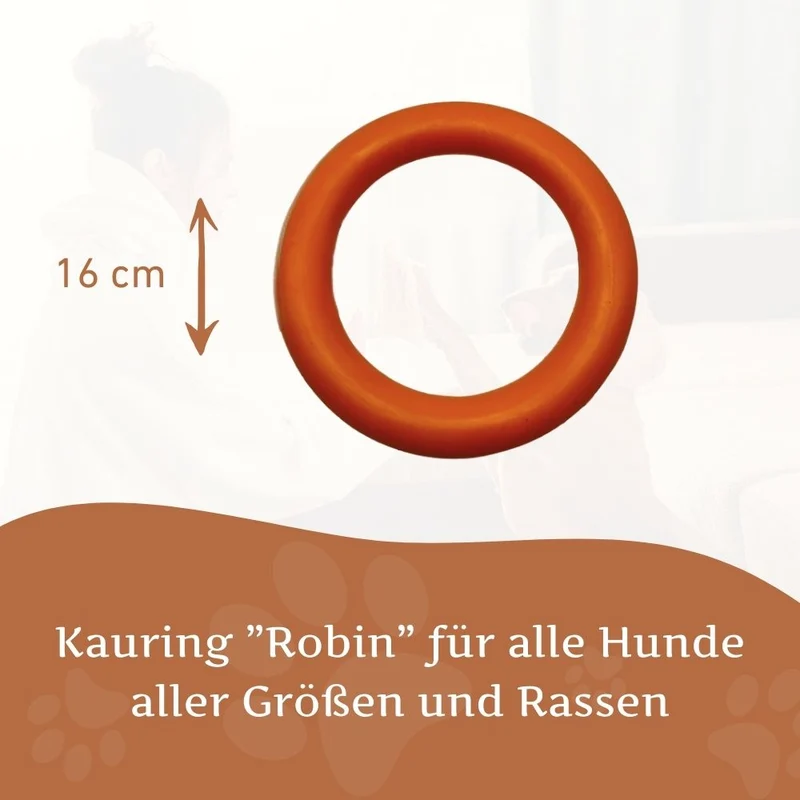 Kauring "Robin"