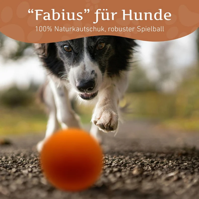 Flummiball "Fabius"