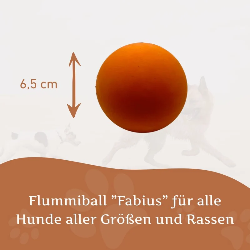 Flummiball "Fabius"