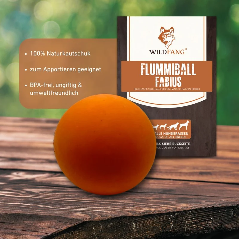 Flummiball "Fabius"