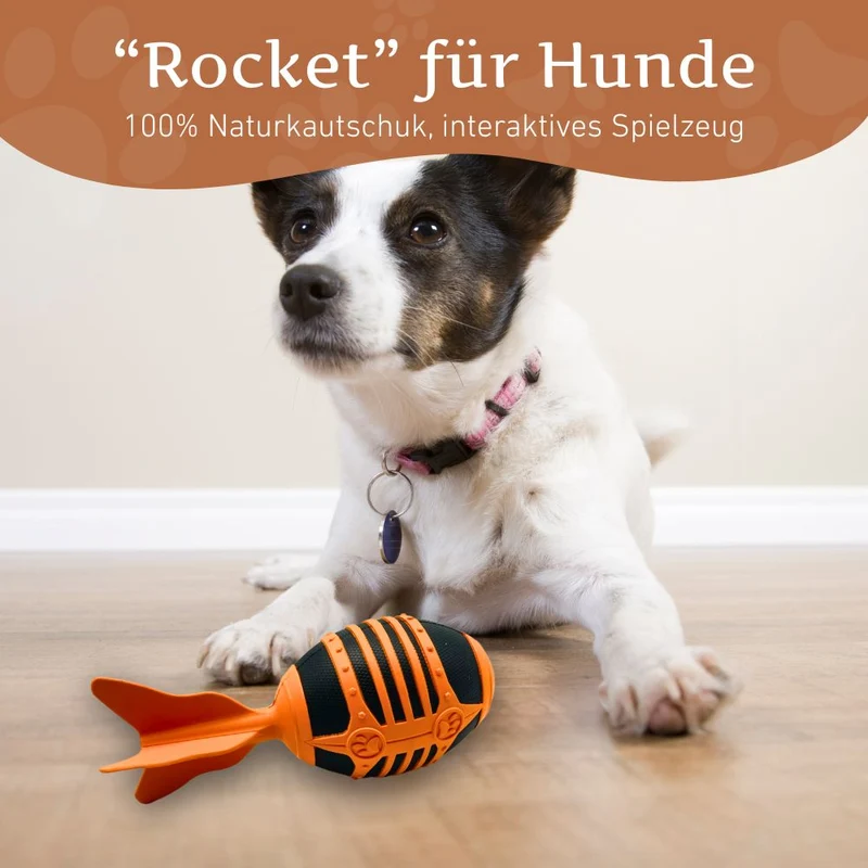 Flugrakete "Rocket"