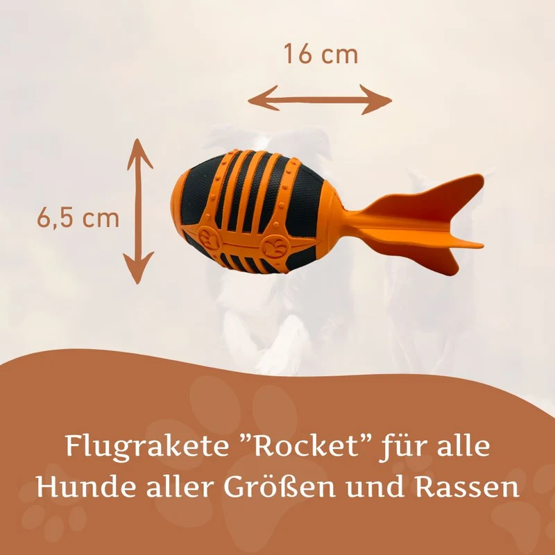 Flugrakete "Rocket"