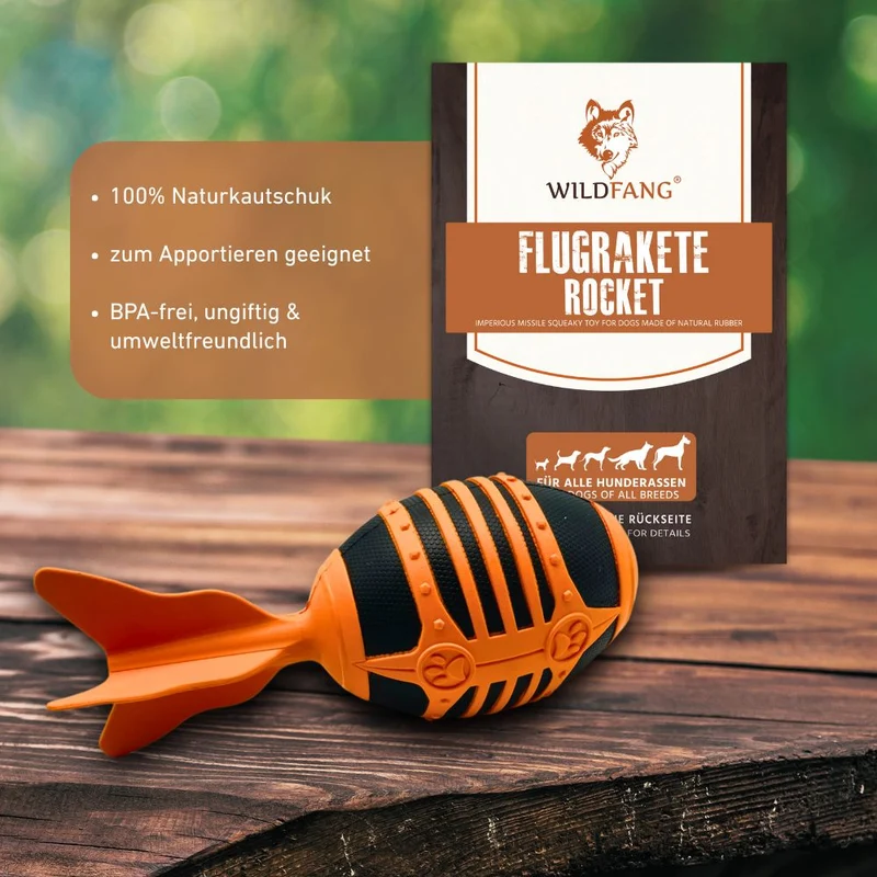 Flugrakete "Rocket"