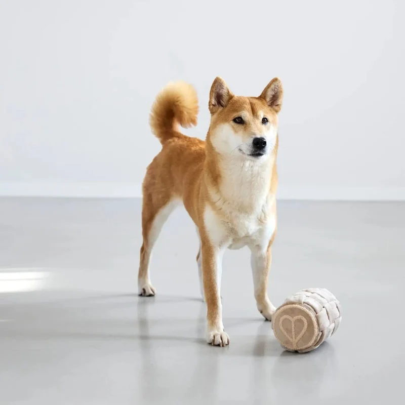 Schnüffelspielzeug Kalpi Beige
