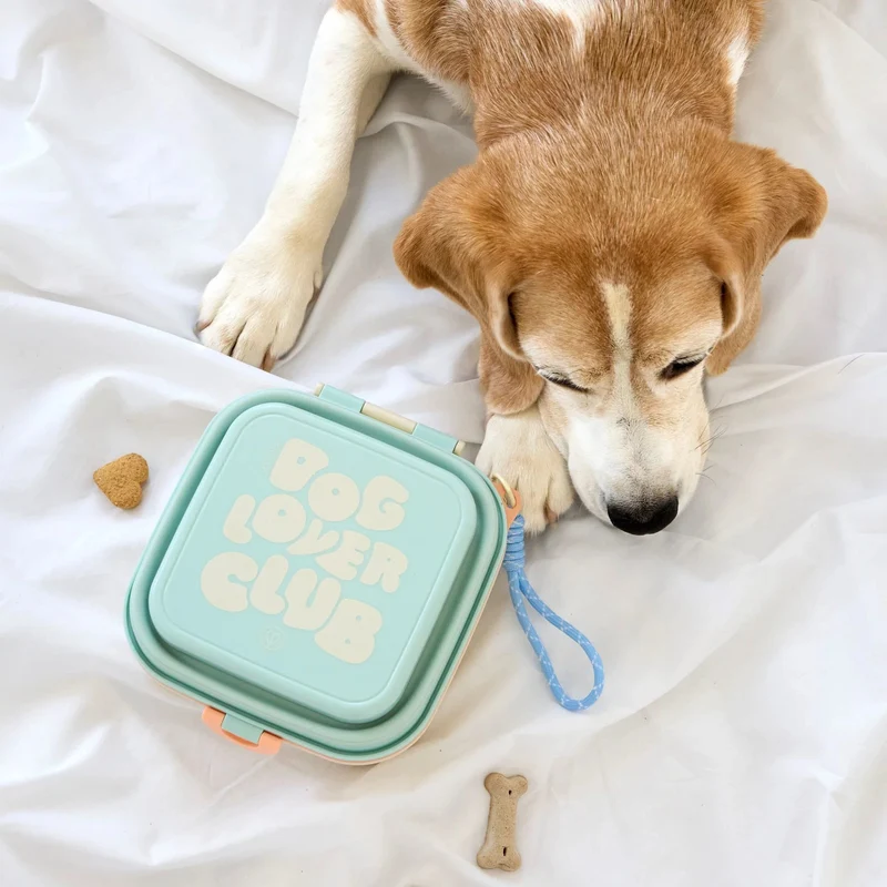 Dog Snack Box Dobo Vanilla