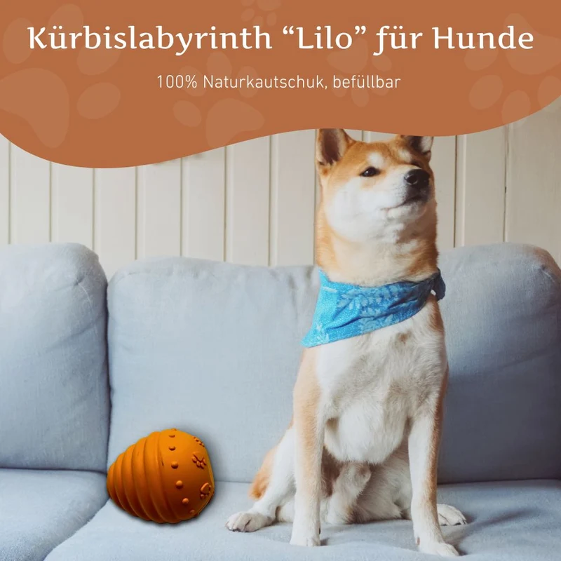 Kürbislabyrinth "Lilo"