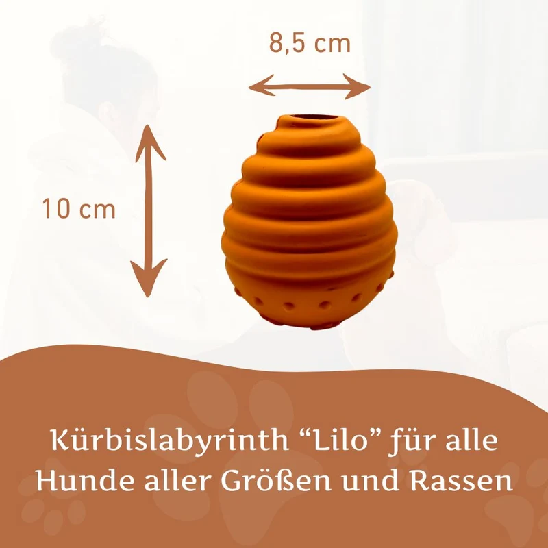 Kürbislabyrinth "Lilo"