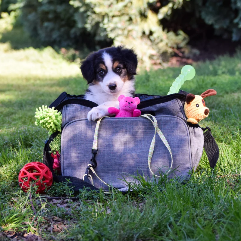 Reisetasche ´Alles drin`