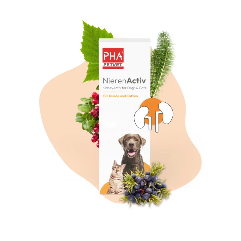 PHA NierenActiv für Hunde und Katzen 30 ml