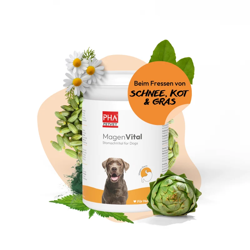 PHA MagenVital für Hunde, 200 g