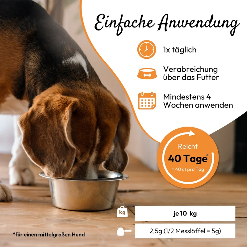 PHA MagenVital für Hunde, 200 g