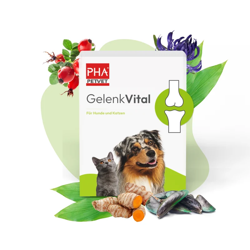 PHA GelenkVital für Hunde & Katzen 150 g