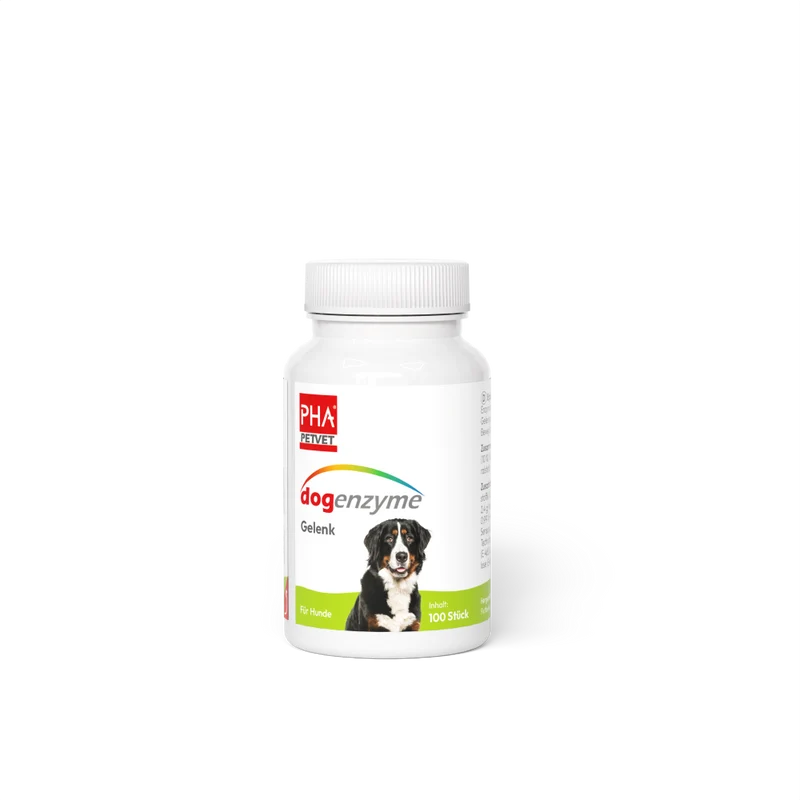 PHA dogenzyme – Gelenk 100 Tabletten (46 g)