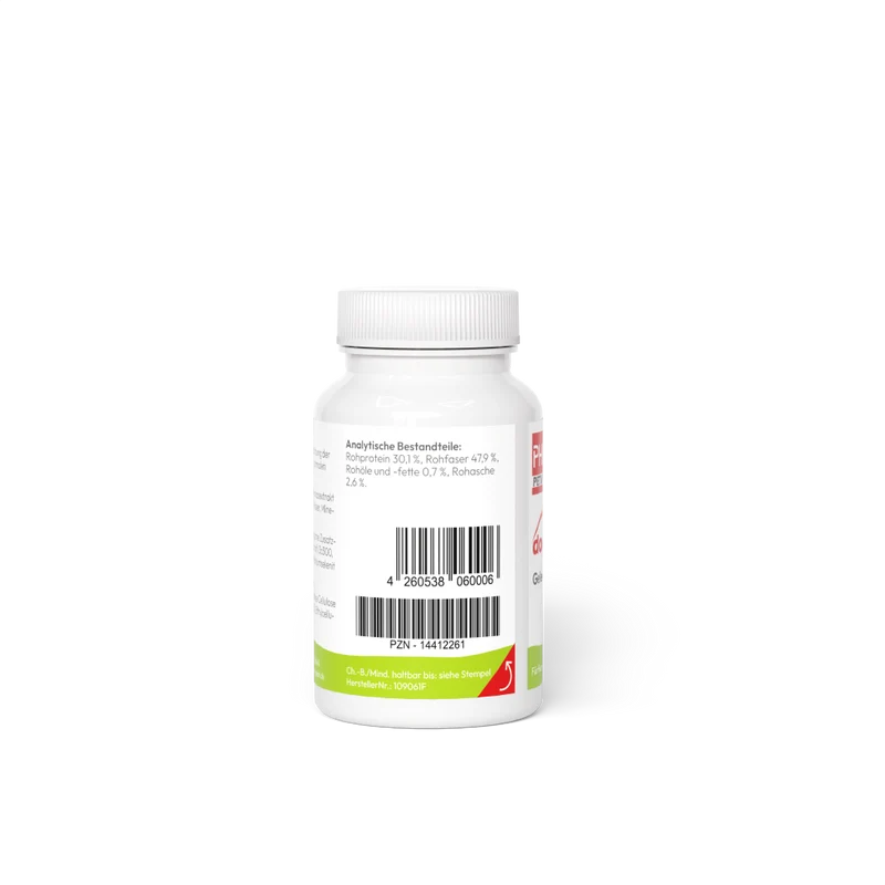 PHA dogenzyme – Gelenk 100 Tabletten (46 g)