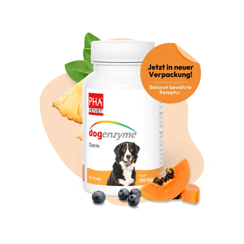 PHA dogenzyme – Darm 100 Tabletten (46 g)