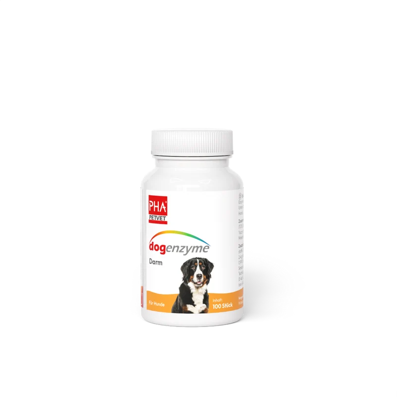 PHA dogenzyme – Darm 100 Tabletten (46 g)
