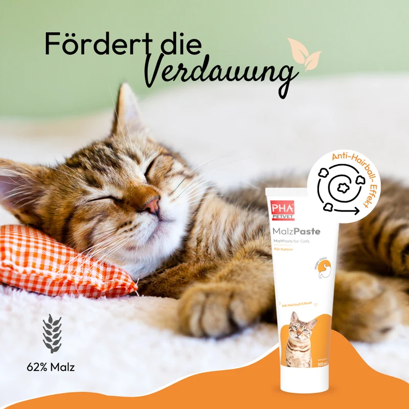 PHA MalzPaste für Katzen - 100 ml