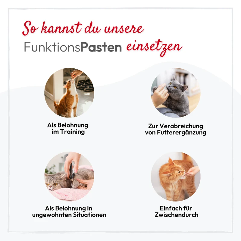 PHA MalzPaste für Katzen - 100 ml