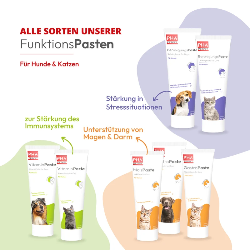 PHA MalzPaste für Katzen - 100 ml