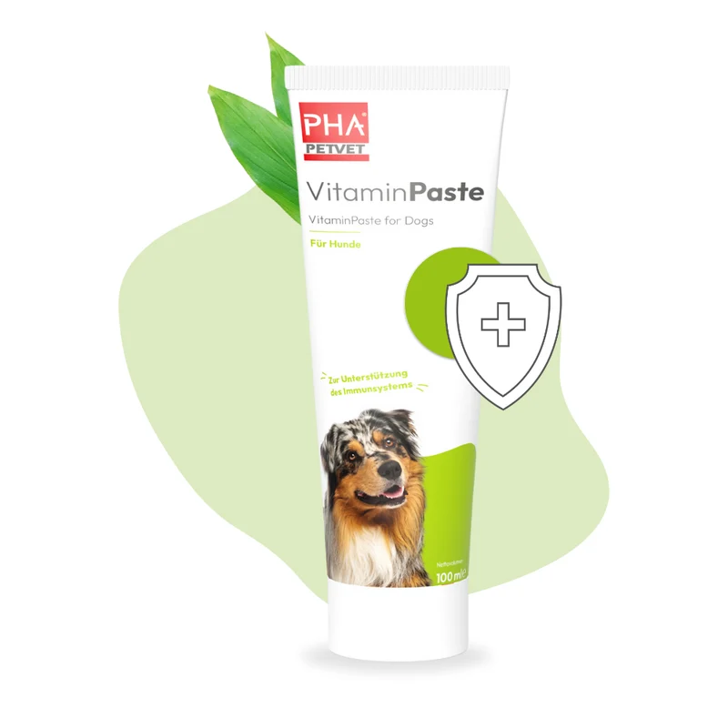 PHA VitaminPaste für Hunde - 100 ml