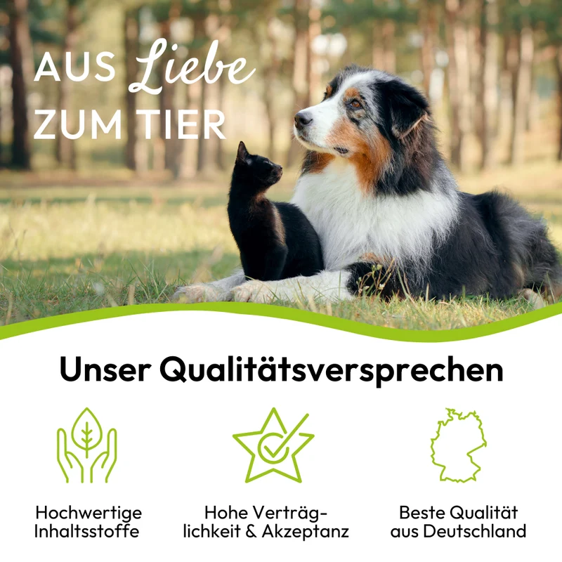 PHA VitaminPaste für Hunde - 100 ml
