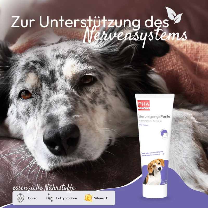 PHA BeruhigungsPaste für Hunde - 100 ml